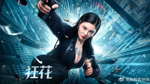 瓦伦西亚理工大学diplom
